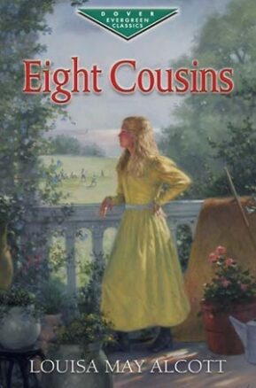 Book Summary Eight Cousins