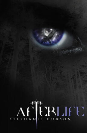 Book Summary Afterlife