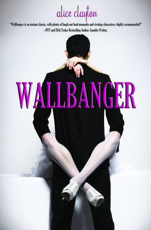 Book Summary Wallbanger