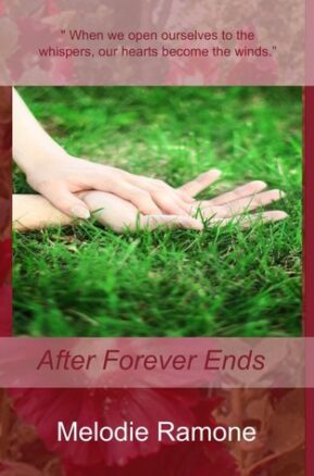 Book Summary After Forever Ends