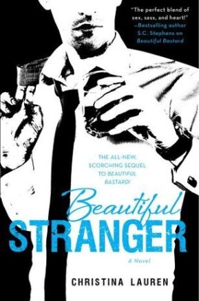 Book Summary Beautiful Stranger