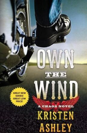 Book Summary Own the Wind