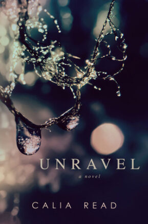 Book Summary Unravel