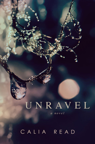 Book Summary Unravel