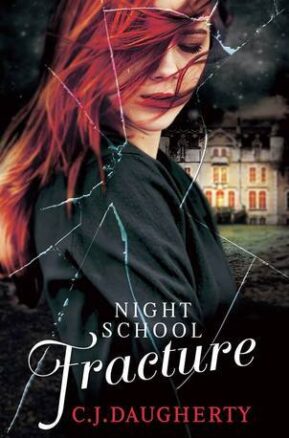 Book Summary Fracture
