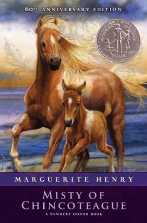 Book Summary Misty of Chincoteague