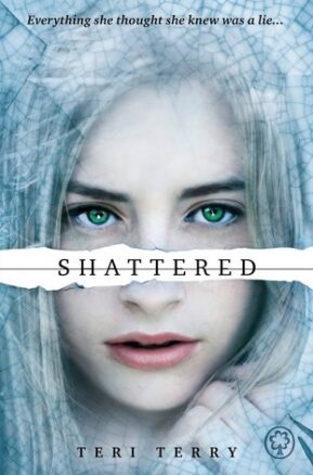 Book Summary Shattered