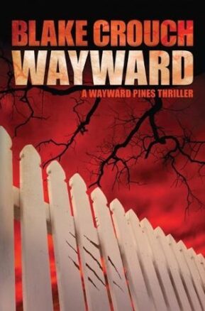 Book Summary Wayward