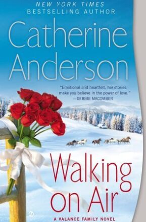 Book Summary Walking On Air