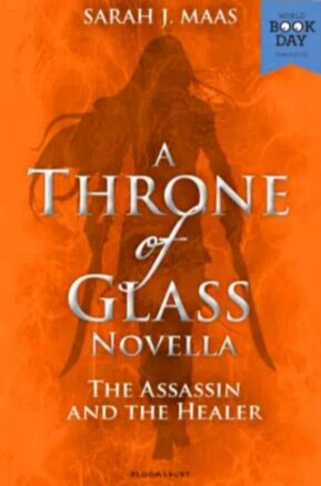 Book Summary The Assassin and the Healer