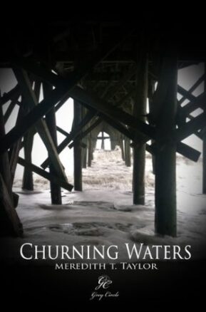 Book Summary Churning Waters