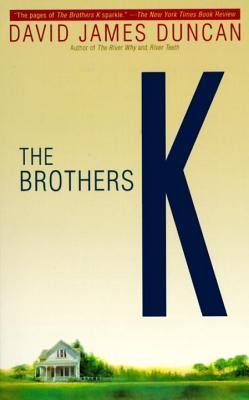 Book Summary The Brothers K