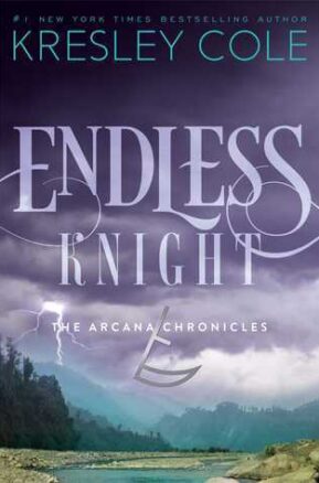 Book Summary Endless Knight