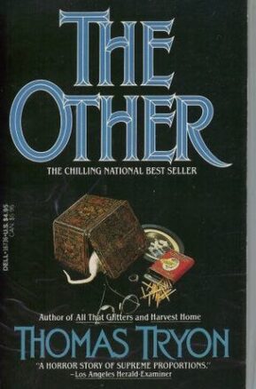 Book Summary The Other