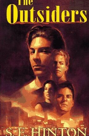 Book Summary The Outsiders