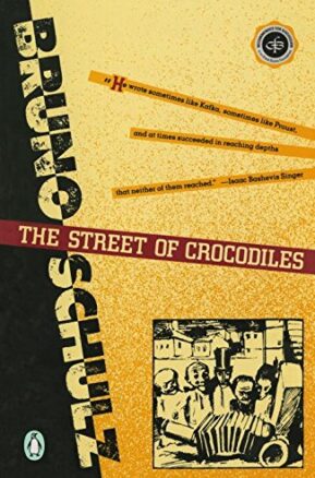 Book Summary The Street of Crocodiles