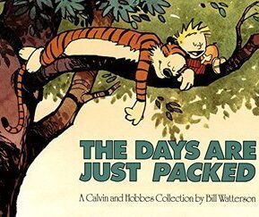 Book Summary The Days Are Just Packed
