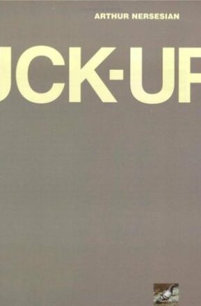 Book Summary The Fuck-Up