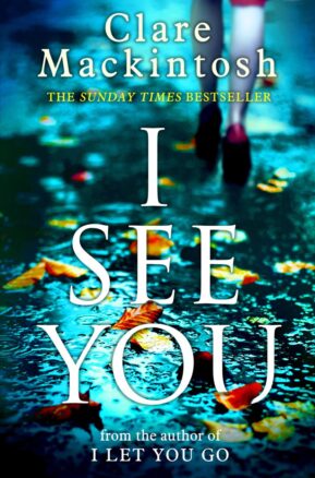 Book Summary I See You