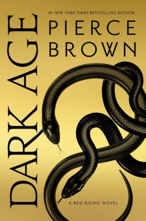 Book Summary Dark Age