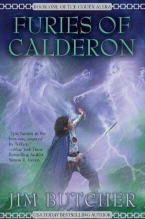 Book Summary Furies of Calderon