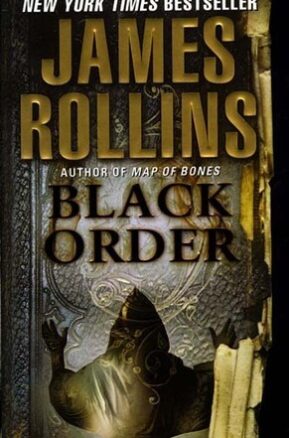 Book Summary Black Order