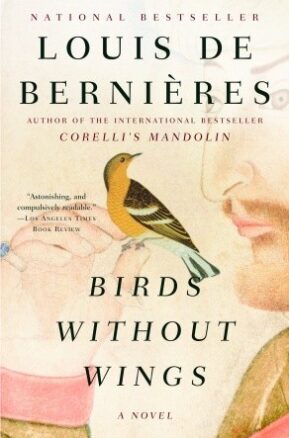 Book Summary Birds Without Wings