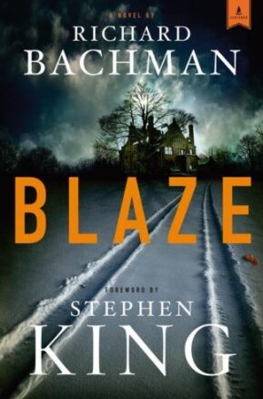 Book Summary Blaze