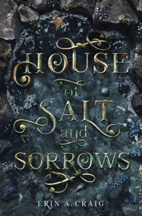 Book Summary House of Salt and Sorrows