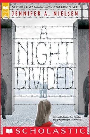 Book Summary A Night Divided