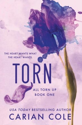 Book Summary Torn