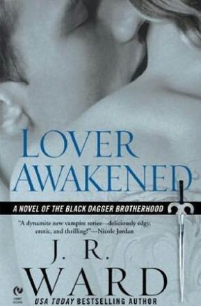 Book Summary Lover Awakened