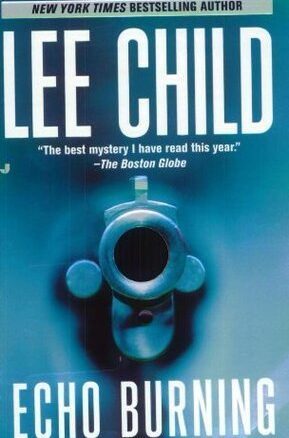 Book Summary Echo Burning