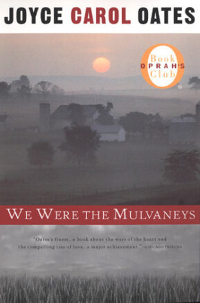 Book Summary We Were the Mulvaneys