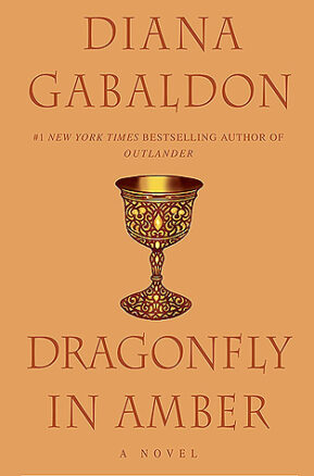 Book Summary Dragonfly in Amber