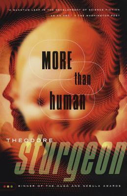 Book Summary More Than Human