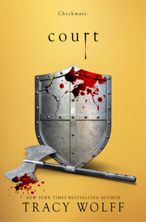Book Summary Court