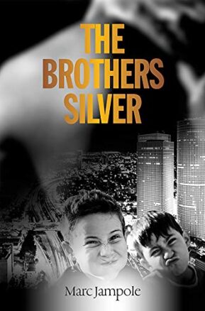 Book Summary The Brothers Silver