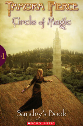 Book Summary Sandry's Book