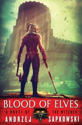 Book Summary Blood of Elves