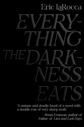 Book Summary Everything the Darkness Eats