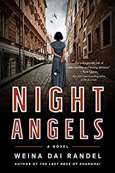 Book Summary Night Angels