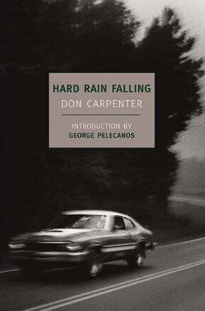 Book Summary Hard Rain Falling