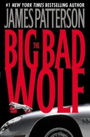 Book Summary The Big Bad Wolf