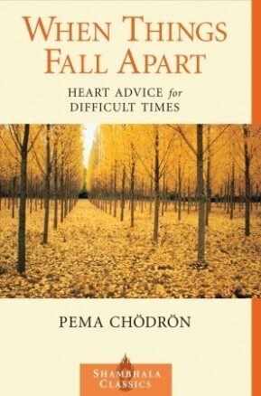 Book Summary When Things Fall Apart: Heart Advice for Difficult Times