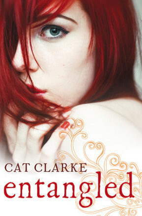 Book Summary Entangled