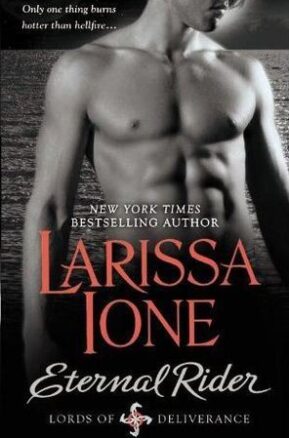 Book Summary Eternal Rider
