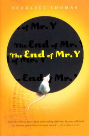 Book Summary The End Of Mr. Y