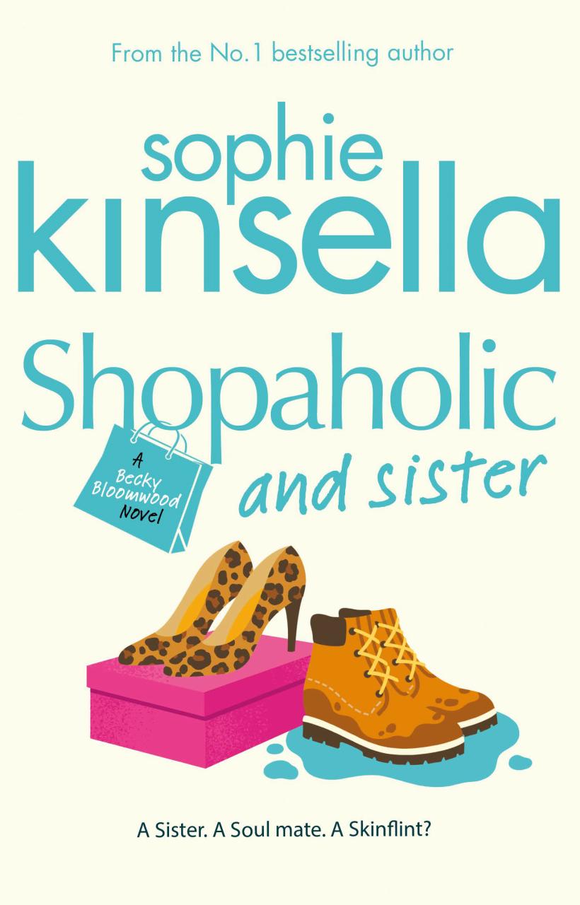 Book Summary Shopaholic and Sister