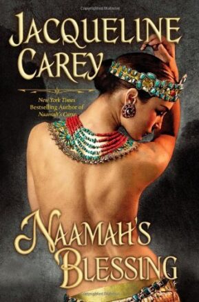 Book Summary Naamah's Blessing